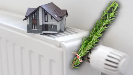 De ce să lași o crenguță de rozmarin timp de 2 zile pe calorifer. La ce ajută acest truc, în timpul iernii