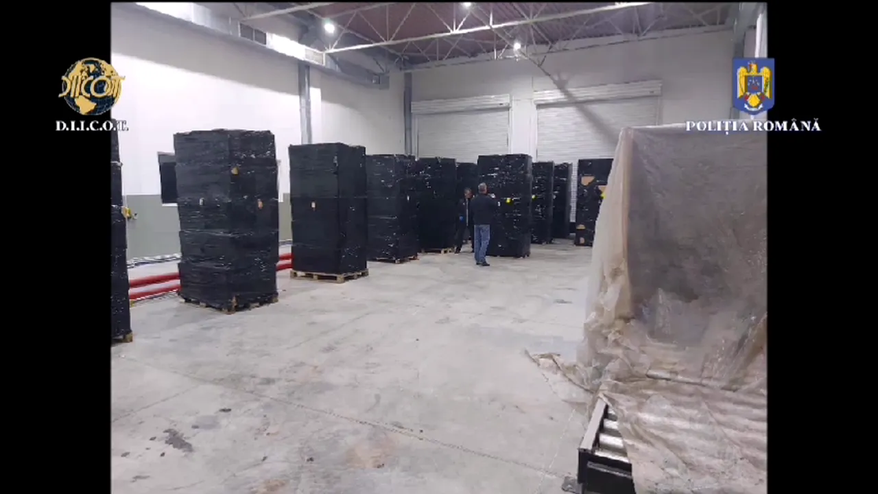 Grupări de traficanți de țigări, destructurate de Poliție și DIICOT. Prejudiciul se ridică la aproape 13 milioane de euro