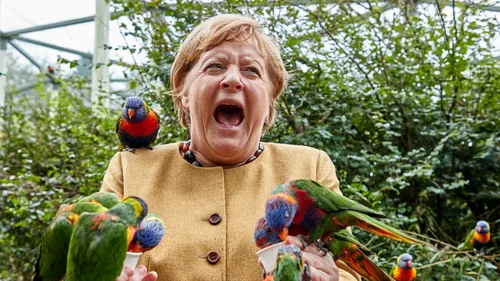 Angela Merkel a fost „mușcată” de papagali, în timpul unei vizite la parcul de păsări din Marlow. Fotografia a devenit virală