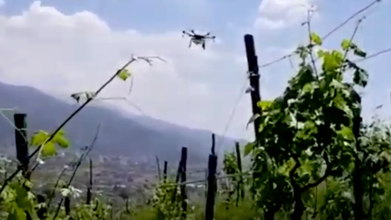 DRONE asistate de calculator pentru monitorizarea VIILOR și LIVEZILOR, pentru fermierii din Transilvania. Cum funcționează noua tehnologie
