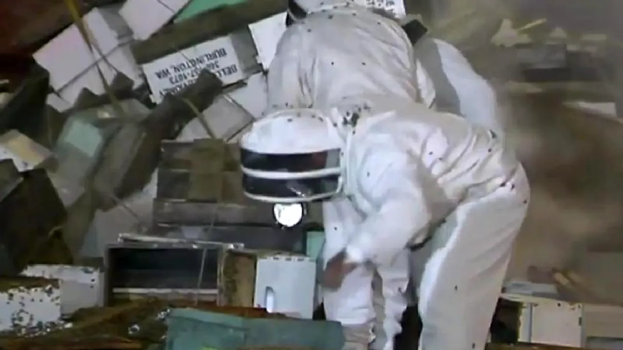 Un camion cu 14 milioane de albine s-a răsturnat pe o autostradă din SUA. Ce a urmat