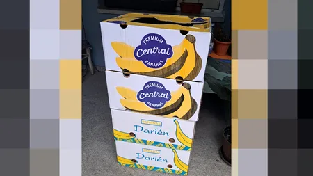 Producția de banane, în PERICOL din cauza schimbărilor climatice. Fermierii se plâng că vremea extremă le distruge culturile