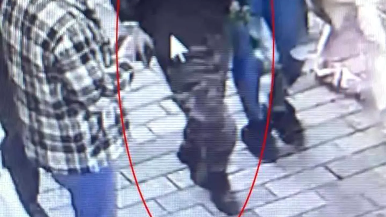 Atac cu bombă în Istanbul: Femeia care ar fi responsabilă de atentat a fost arestată, anunță oficialii turci