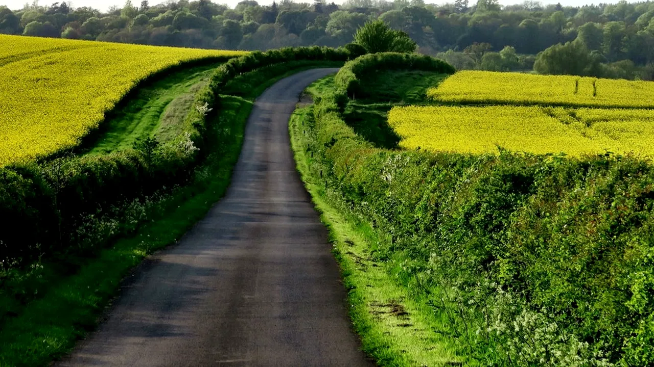 Un minor, amendat cu 125 de lei de polițiști. Cum a încălcat acesta legea în timp ce mergea pe drum