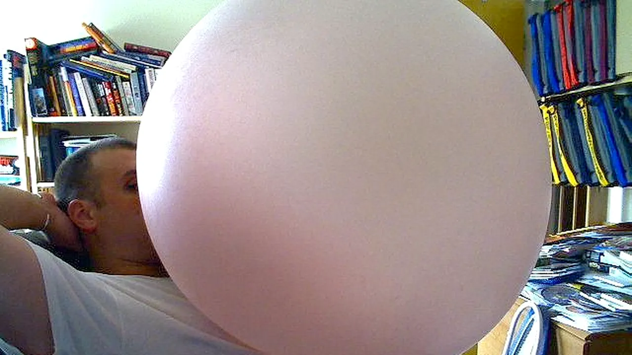 Caracal, uriașa gumă de mestecat colectivă 