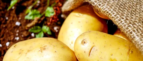 RAPORT INS. Ce s-a scumpit în România, în aprilie: Cartofii, creștere de 21,6%