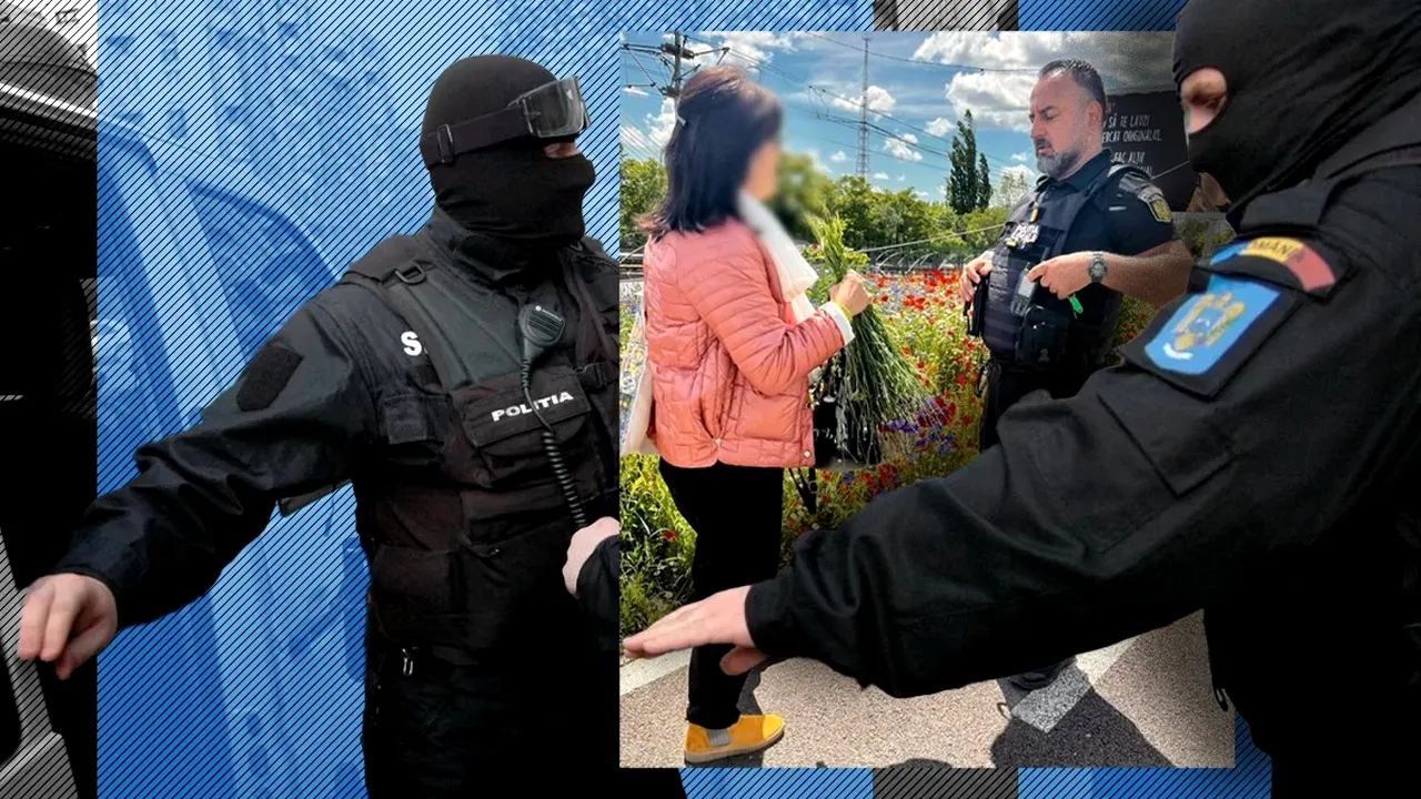 După ce au prins toate băbuțele care fac contrabandă cu pătrunjel, polițiștii locali din Sectorul 6 au destructurat o rețea de femei care rup flori