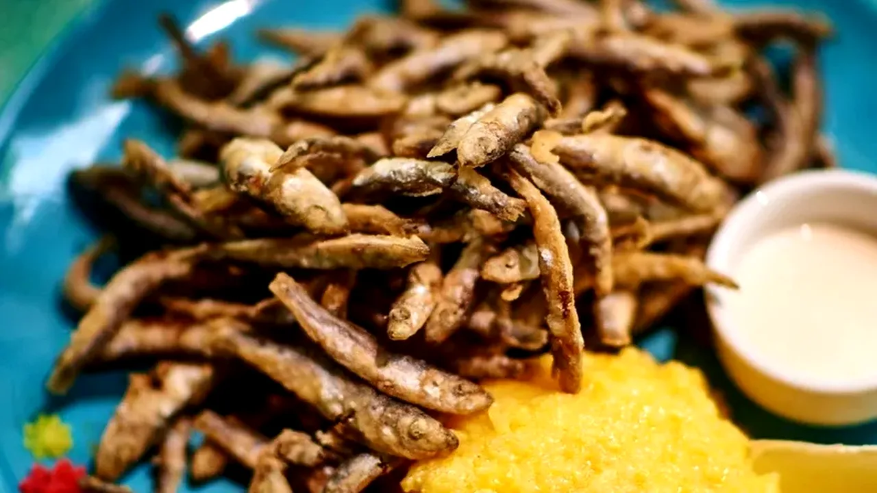 Cât a ajuns să coste o porție de hamsii la mare, în 2022. Românii habar nu au ce cumpără