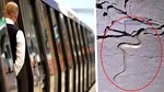 Au apărut șerpii la metrou. Pe ce magistrală a fost filmată reptila și cum a ajuns în subteran. „Trebuia chemată jandarmeria”