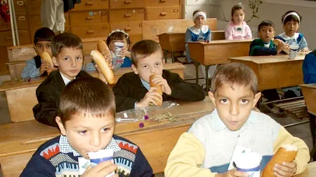 Lapte stricat și cornuri mucegăite pentru elevii din mai multe județe