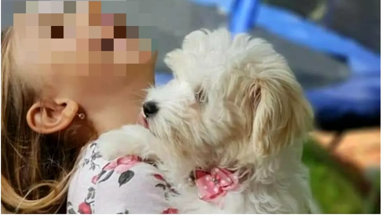 Tragedia din Dâmbovița: Fetița de 10 ani spulberată de o mașină fugea după o pisică: „Iubea foarte mult animalele. Pisicuța a murit și ea”