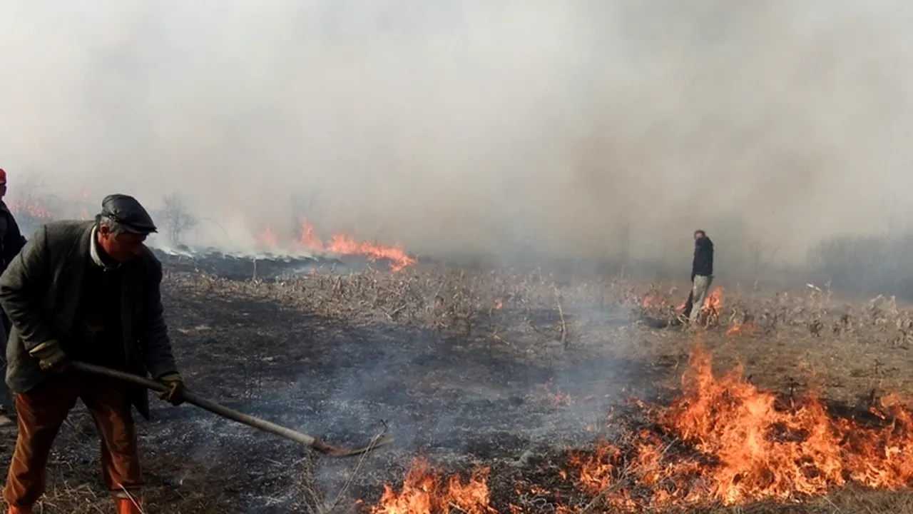 Un puternic incendiu de pădure a izbucnit la Suceava. Patru sute de persoane au intervenit să îl stingă 