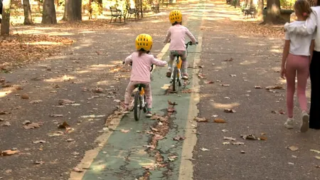 VIDEO EXCLUSIV | Cine mai salvează Parcul Herăstrău? Grădina din nordul Capitalei este DEPLORABILĂ, cu alei sparte, bănci rupte și vegetație uscată