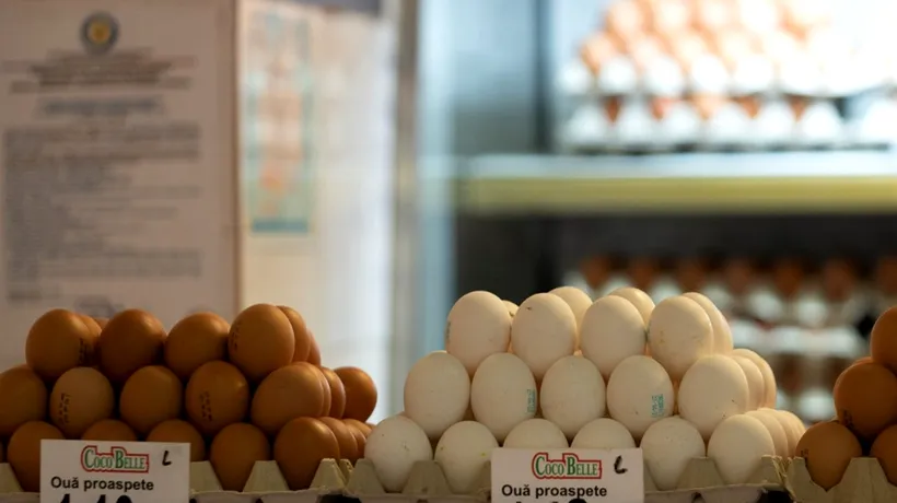 Ce se întâmplă în corpul tău dacă mănânci zilnic ouă. Nutrienții ESENȚIALI din gălbenuș