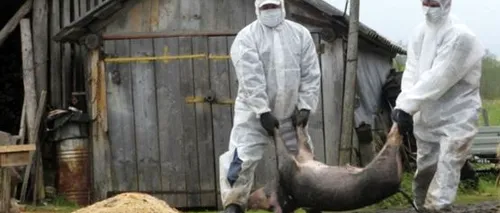 Suspiciune de pestă porcină la Zoo Brăila. Doi mistreți și un porc vietnamez au murit