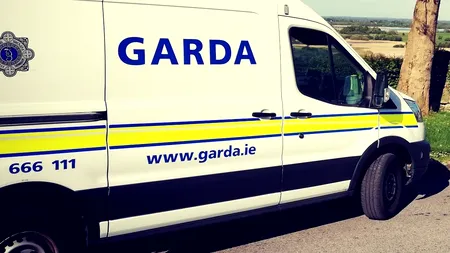 GRUP INFRACȚIONAL. Români arestați în Irlanda, după ce au luat fraudulos ajutoare sociale pentru COVID-19