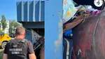 (P) Salubrizare Sector 5. Primăria Sectorului 5 anunță că a igienizat zona de sub conductele de termoficare de pe strada Brăniștari
