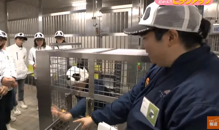 sursa foto: captura video Youtube