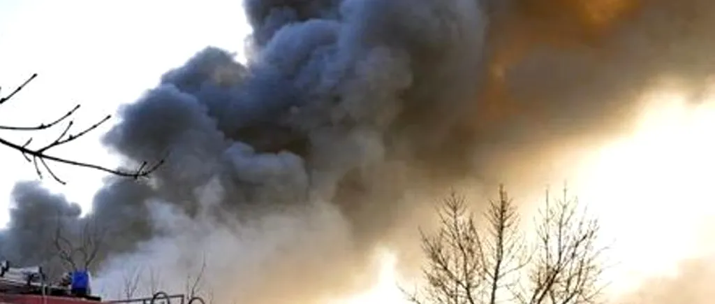 Incendiu de vegetație în spatele fostului complex Metro Otopeni, traficul aerian nu este afectat 