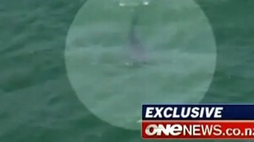 Un regizor din Noua Zeelandă a murit sfâșiat de rechini. VIDEO