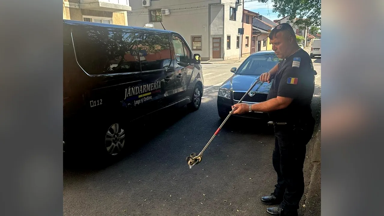 Odată cu venirea căldurii, ȘERPII își fac apariția tot mai des în zonele locuite. S-a întâmplat, recent, în Orșova și Drobeta-Turnu Severin