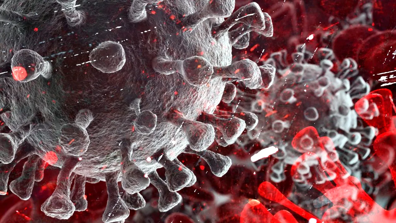 Bilanț coronavirus. 8.262 de noi cazuri COVID-19 și 186 de decese ale unor persoane infectate cu SARS-CoV-2