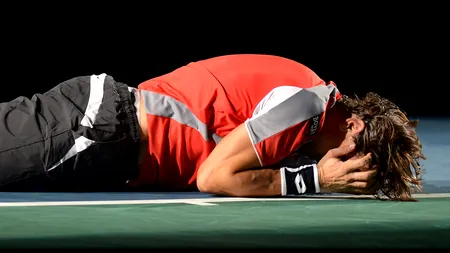 David Ferrer a câștigat turneul de la Paris