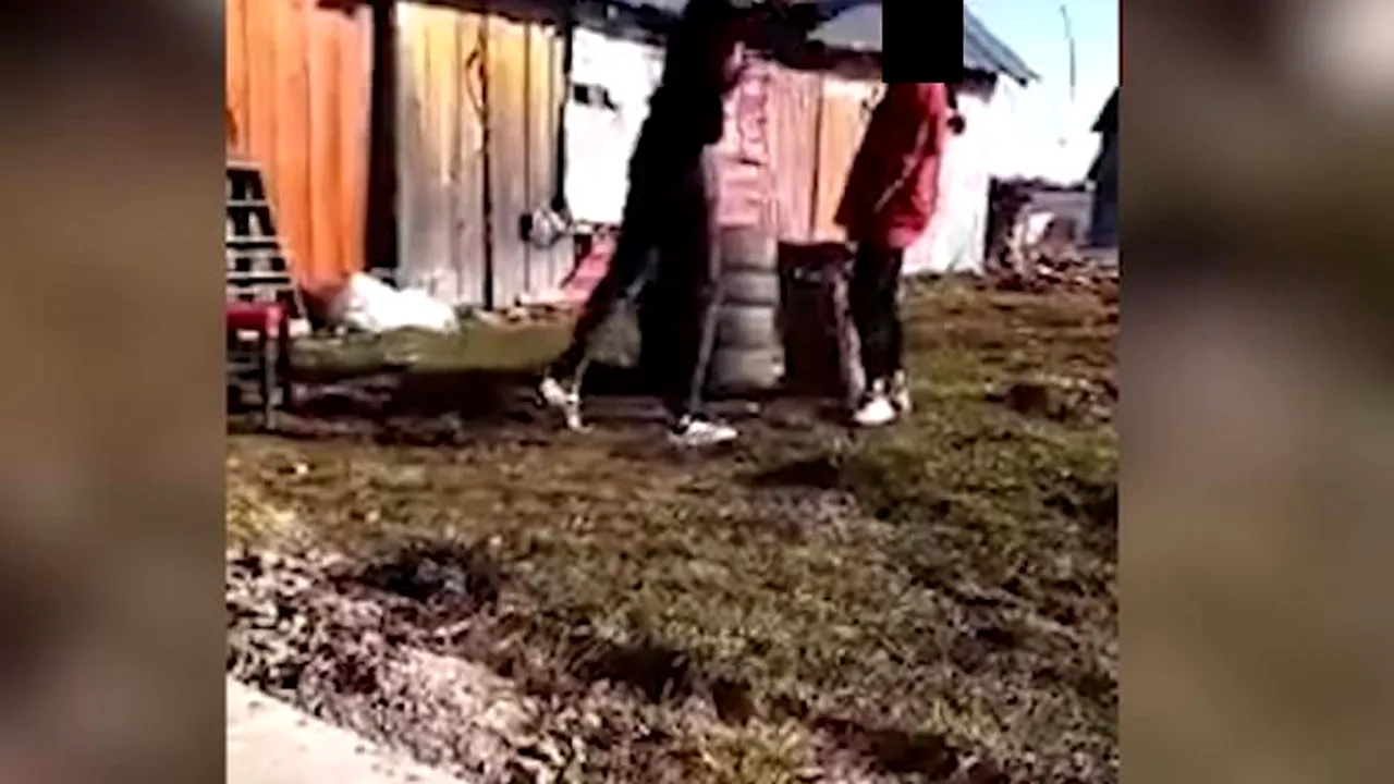 Minoră însărcinată, bătută cu biciul și pusă în genunchi de fostul concubin, pentru a-i jura „credință” - FOTO / VIDEO