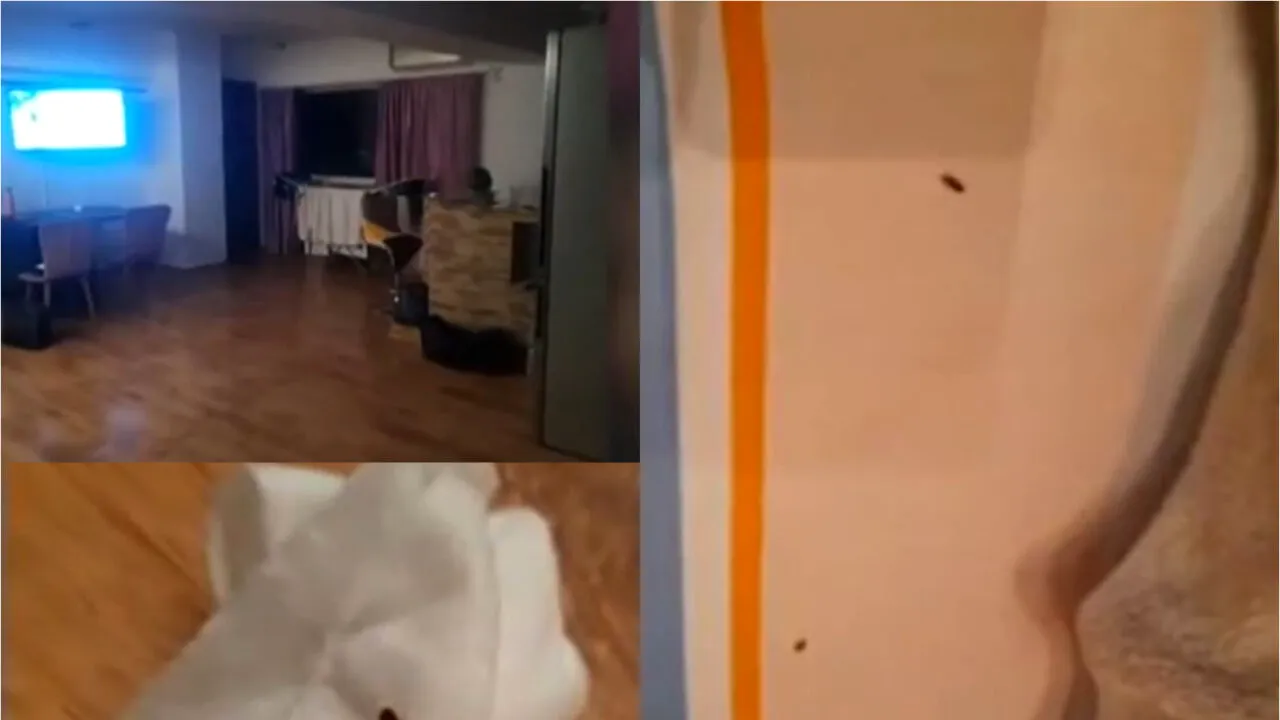 Calvarul trăit de mai mulți turiști în Constanța. Ce au putut să găsească în apartamentul în care s-au cazat