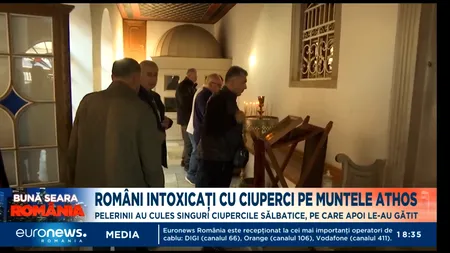 Unsprezece români s-au intoxicat cu ciperci otrăvitoare pe Muntele Athos. Cum se simt acum