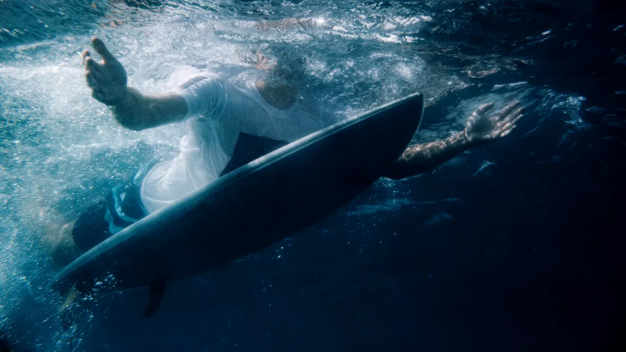 Al patrulea atac al rechinilor în 48 de ore o plajă exotică. Un surfer a trăit pe viu coșmarul din „Fălci”. Plajele, închise de urgență