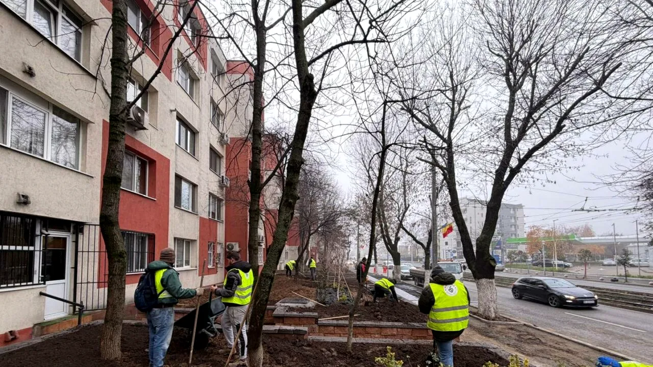 (P)Vlad Popescu Piedone: 