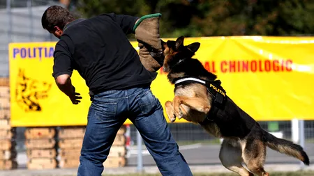Fostul șef al Centrului Chinologic din Sibiu, acuzat de loviri și hărțuire: Nu am fost eliberat din funcție, mi-am dat demisia