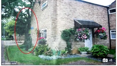 DOREL DE ANGLIA. Ce au găsit doi britanici în curtea lor când au ajuns acasă