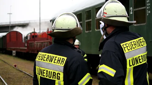 O căprioară, spulberată de tren în Germania. Ce s-a întâmplat cu cei aproape 200 de pasageri