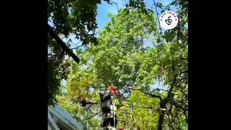 (P)În Parcul Romniceanu din Sectorul 5 au fost pornite fântânile arteziene