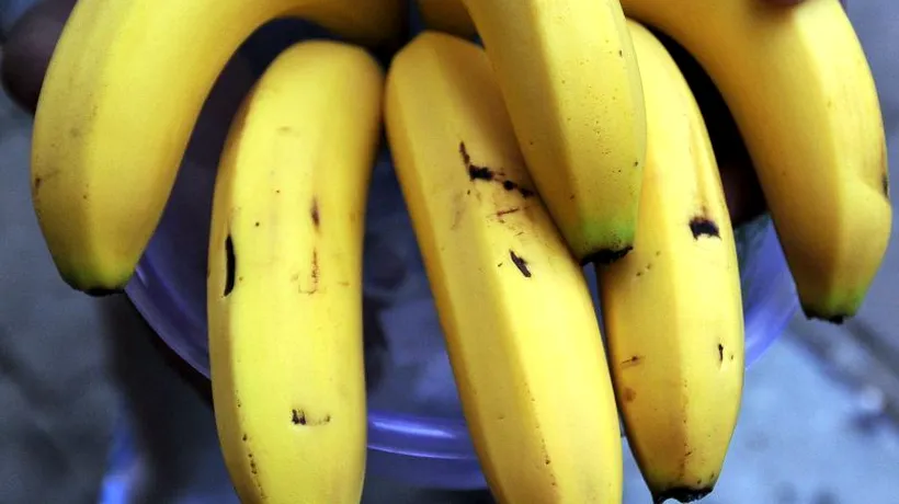 Anunț îngrijorător: 85% din producția mondială de banane ar putea fi distrusă. Care este motivul