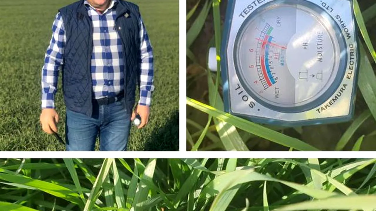Unde se înregistrează SECETĂ pedologică. Care este cultura agricolă de toamnă afectată de LIPSA umidității. Fermier: „Este apă doar în primii 20 de centimetri de sol