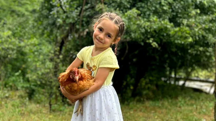 Fundația Carmistin a donat 10.000 găini ouătoare BIO, în cadrul unei campanii anuale dedicate comunitățiIor (Comunicat de presă)