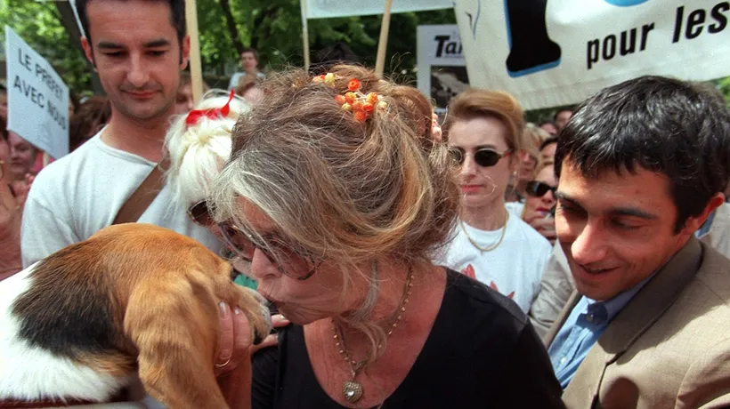 Brigitte Bardot se implică în PROBLEMA câinilor fără stăpân din Turcia. Fosta actrița face APEL la președintele Erdogan