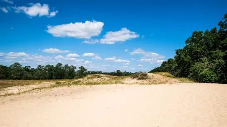 Clima României se schimbă radical. Ce TEMPERATURI vor fi în București, Constanța și Brașov