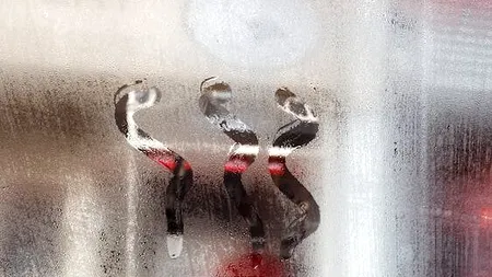 Cum scapi de umeazeala de pe ferestrele de tip termopan. De ce transpiră acestea iarna