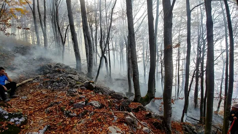 Incendii masive în Hunedoara: Peste 15 hectare de pădure sunt afectate - FOTO