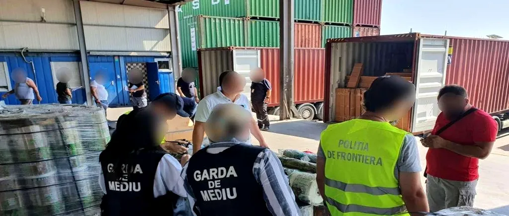 Containere cu peste 60 de tone de deșeuri de plastic amestecat cu carton, descoperite în Portul Constanţa Sud Agigea. Ce scria în documentele de transport