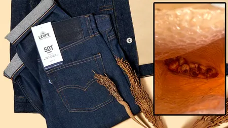 Ireal ce a primit un tânăr, după ce comandase on-line o pereche de blugi Levi's. Când a deschis coletul, a crezut că nu vede bine