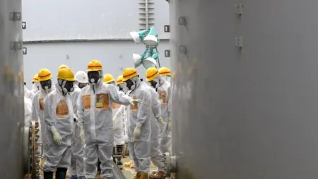 Coreea de Sud restricționează importul de pește din Japonia . 