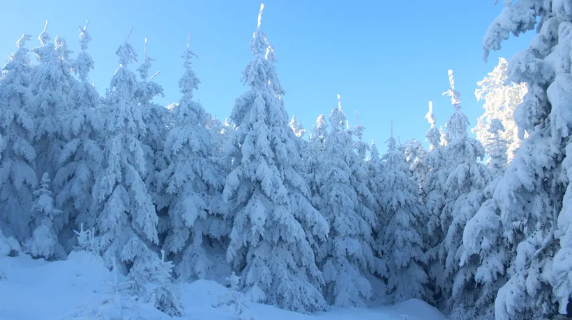 Se întoarce iarna! Cod galben de ninsori și viscol în 23 de județe din România