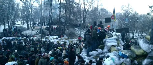 Cât de mult se implică românii din Ucraina în protestele antiguvernamentale