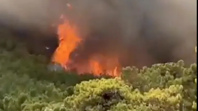 Incendiile forestiere din sudul Turciei au ajuns în stațiunile de pe litoral: Mai multe hoteluri din Marmaris au fost evacuate