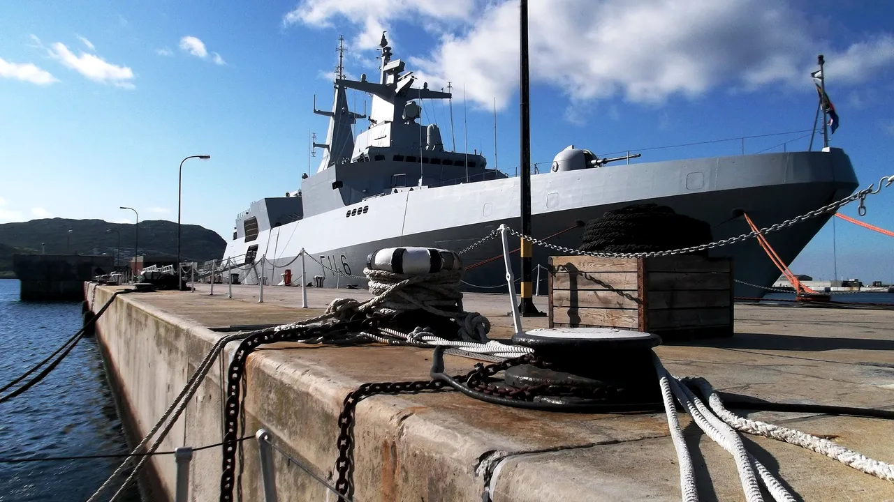 Mai multe țări UE susțin inițiativa trimiterii unei misiuni navale europene în Golful Persic